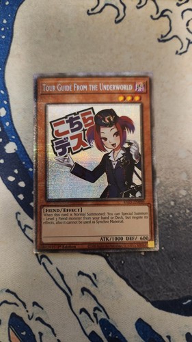 Yugioh tour guide from - guide, the